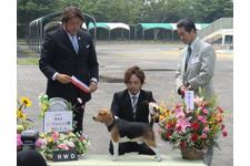 吹澤保ブリーダー